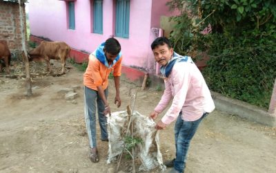 ATARI samithi of *BETUL district (Madhya Pradesh) does Seva