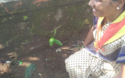 Nagaon samithi of Raighad district (Metro Mumbai) does Seva