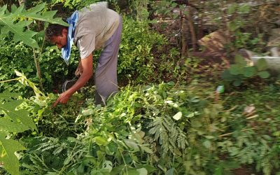 *BHOPAL samithi of *BHOPAL district (Madhya Pradesh) does Seva