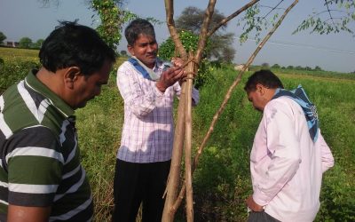 *KARELI samithi of *NARSIMHPUR district (Madhya Pradesh) does Seva