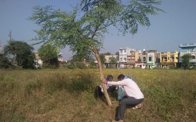 *KARELI samithi of *NARSIMHPUR district (Madhya Pradesh) does Seva