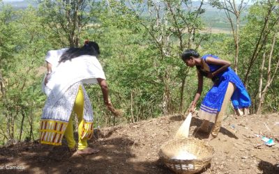 BHADRAVATHI samithi of SHIMOGA district (Karnataka) does Seva