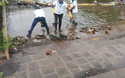Sahakar Nagar samithi of Pune district (Maharashtra) does Seva