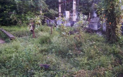 Vuda Colony – VZM samithi of Vizianagaram district (Andhra Pradesh) does Seva