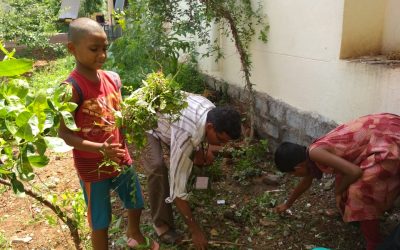 Kadapa samithi of Kadapa district (Andhra Pradesh) does Seva