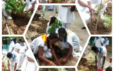 Tadipatri samithi of Anantapur district (Andhra Pradesh) does Seva