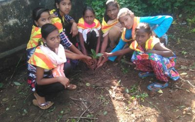 Pethgaon samithi of Chandrapur district (Maharashtra) does Seva
