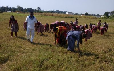 *SURLAKHAPA samithi of *CHHINDWARA district (Madhya Pradesh) does Seva