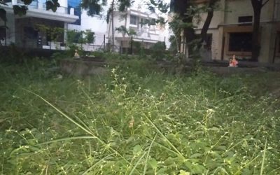 AmravatiCity samithi of Amravati district (Maharashtra) does Seva