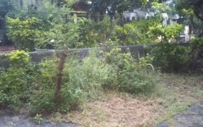 AmravatiCity samithi of Amravati district (Maharashtra) does Seva