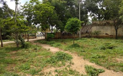Roddam samithi of Anantapur district (Andhra Pradesh) does Seva
