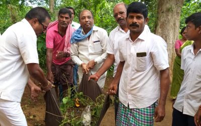 Palasa samithi of Srikakulam district (Andhra Pradesh) does Seva