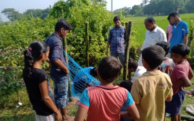 Balikhand samithi of Bhadrak1 district (Odisha) does Seva