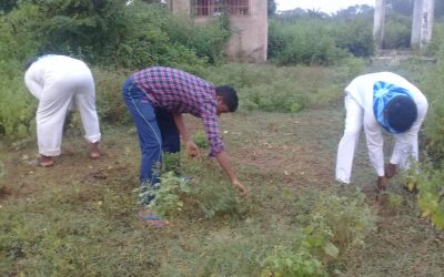 Koliana samithi of Mayurbhanj district (Odisha) does Seva