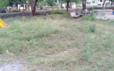 HinganiGavandgaon samithi of Amravati district (Maharashtra) does Seva