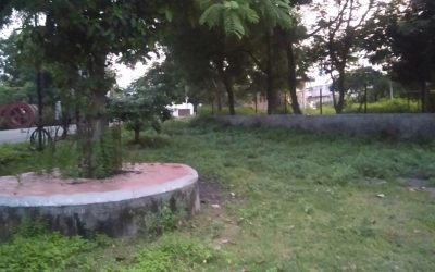 ErandgaonVillage samithi of Amravati district (Maharashtra) does Seva