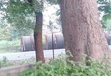 ShirasgaonKasba samithi of Amravati district (Maharashtra) does Seva