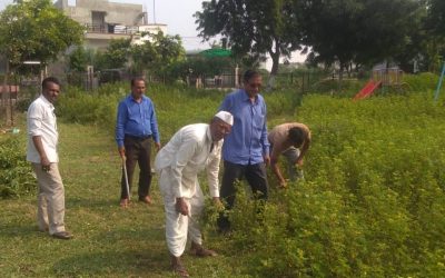 *Kandli samithi of Amravati district (Maharashtra) does Seva