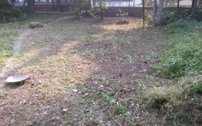 *Kandli samithi of Amravati district (Maharashtra) does Seva