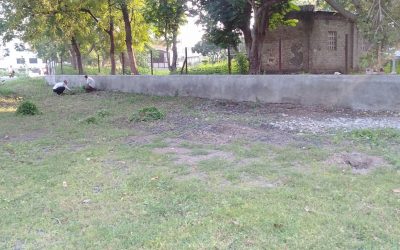 AmravatiCity samithi of Amravati district (Maharashtra) does Seva