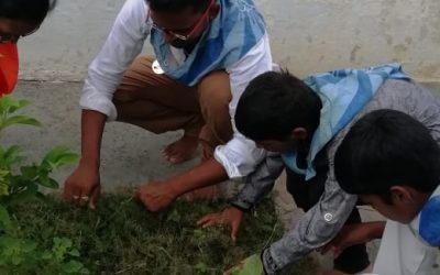 Kadapa samithi of Kadapa district (Andhra Pradesh) does Seva