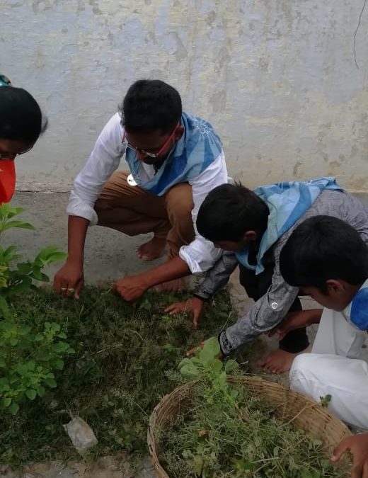 Kadapa samithi of Kadapa district (Andhra Pradesh) does Seva
