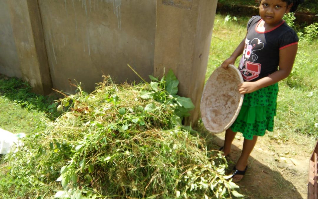 Sai Brundavan samithi of Vizianagaram district (Andhra Pradesh) does Seva