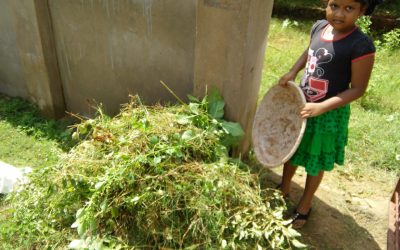 Sai Brundavan samithi of Vizianagaram district (Andhra Pradesh) does Seva