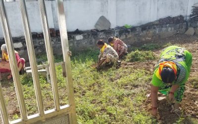 Kopparru samithi of Guntur district (Andhra Pradesh) does Seva