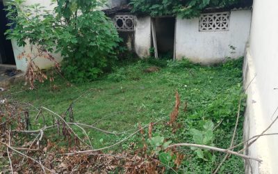 S. Kota samithi of Vizianagaram district (Andhra Pradesh) does Seva