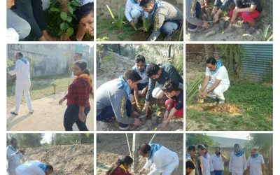 PATIALA samithi of PATIALA district (Punjab) does Seva