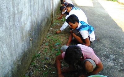 Shyamsunderpur samithi of Boudh district (Odisha) does Seva