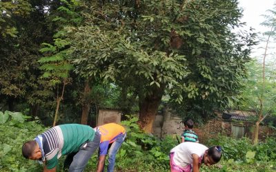 DUNLOP samithi of HOOGHLY district (West Bengal) does Seva