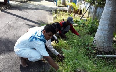 8th Incline Colony samithi of Peddapalli district (Telangana) does Seva