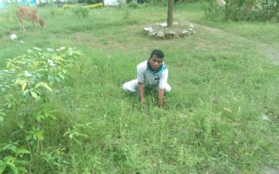 Godavarikhani samithi of Peddapalli district (Telangana) does Seva