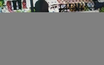 Ningthoukhong samithi of Bishnupur district (Manipur) does Seva