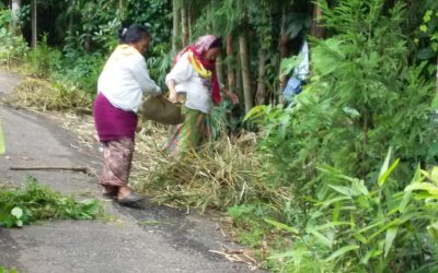 MIRIK samithi of DARJEELING(SOUTH) district (West Bengal) does Seva