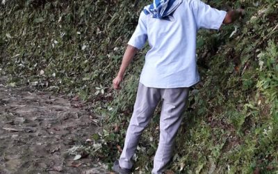 MARGARET’S HOPE samithi of DARJEELING(SOUTH) district (West Bengal) does Seva