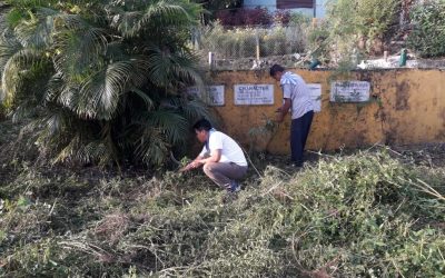 TINDHARIA samithi of DARJEELING(SOUTH) district (West Bengal) does Seva