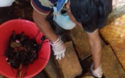 SERAMPORE samithi of HOOGHLY district (West Bengal) does Seva