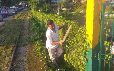 TINDHARIA samithi of DARJEELING(SOUTH) district (West Bengal) does Seva