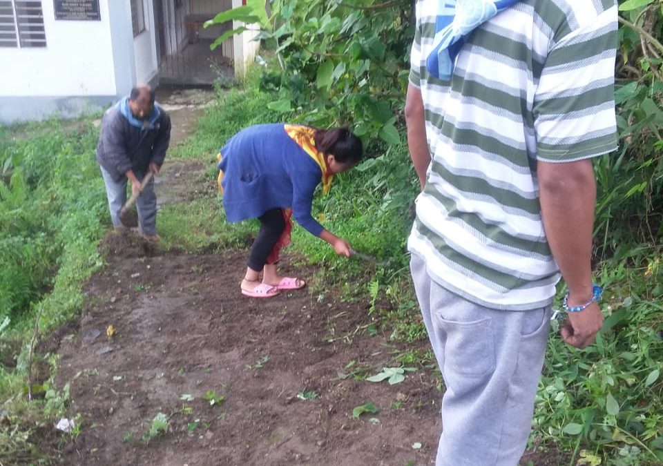 TAKDAH DABAIPANI samithi of DARJEELING(NORTH) district (West Bengal) does Seva